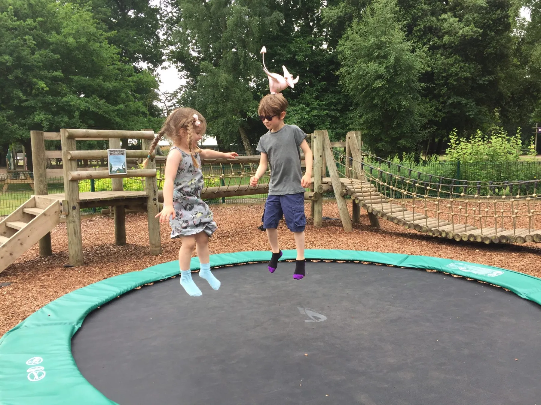 Dinosaur adventure park