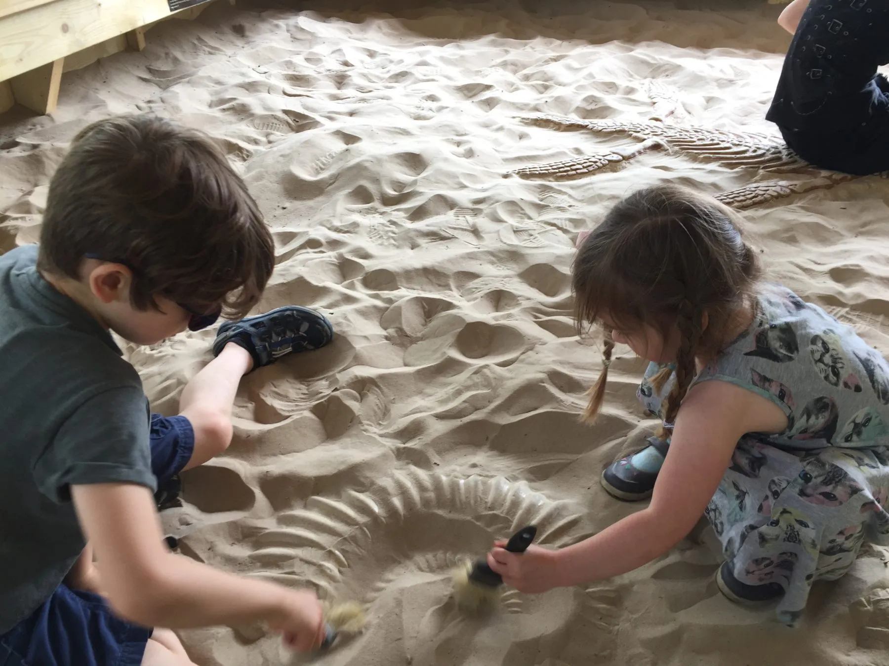Dinosaur adventure park