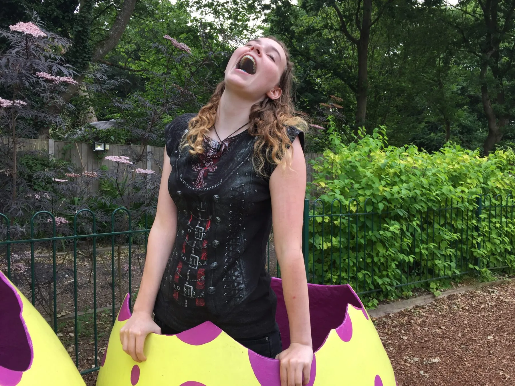 Dinosaur adventure park
