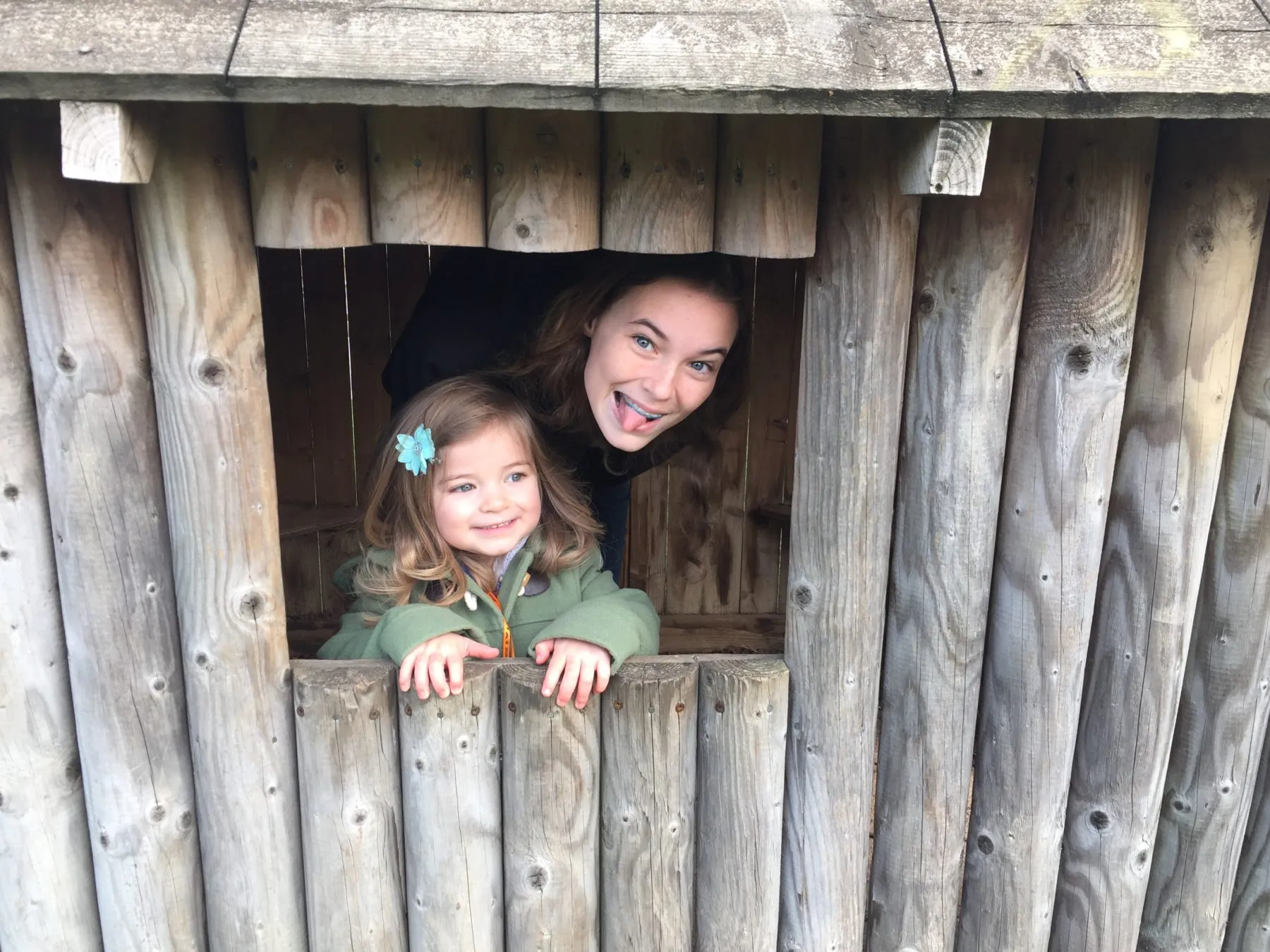 Dinosaur adventure park