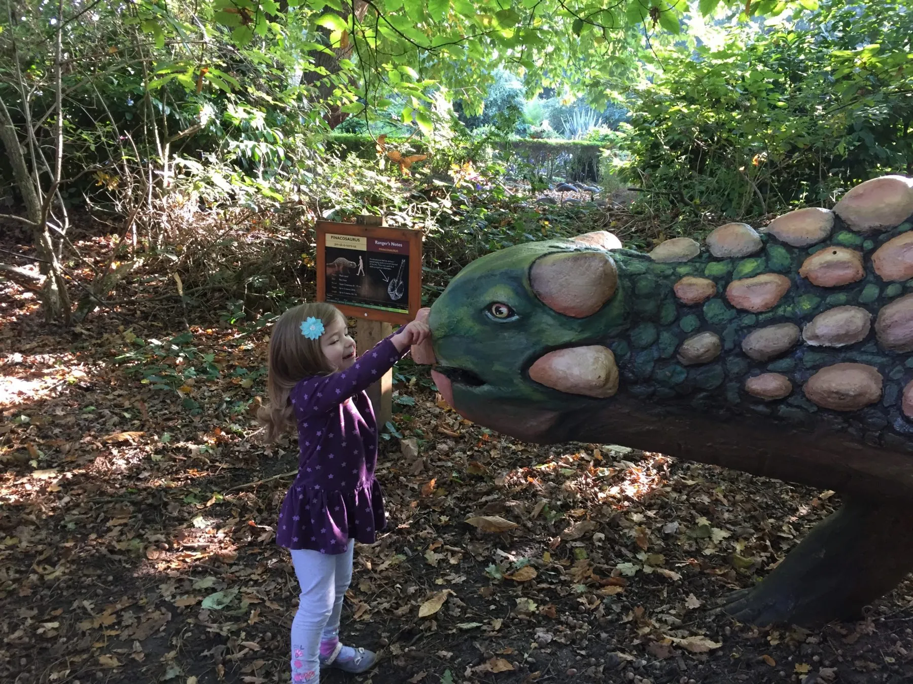 Dinosaur adventure park