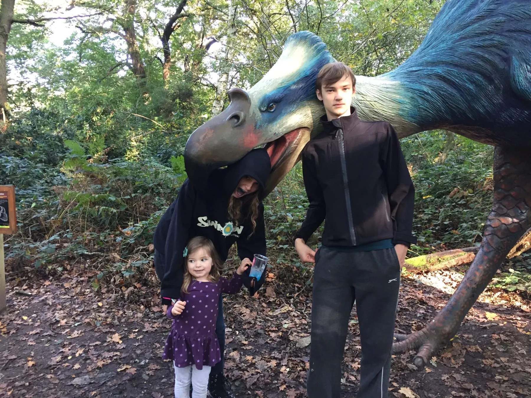 Dinosaur adventure park