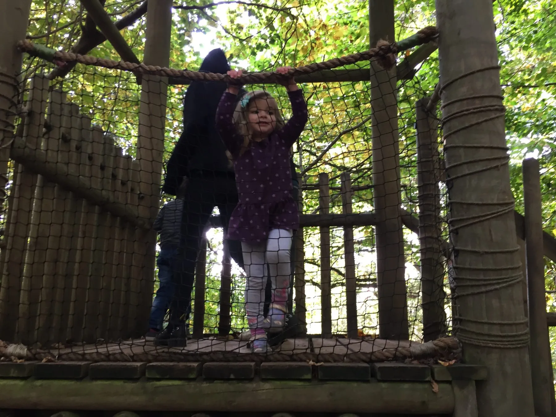 Dinosaur adventure park