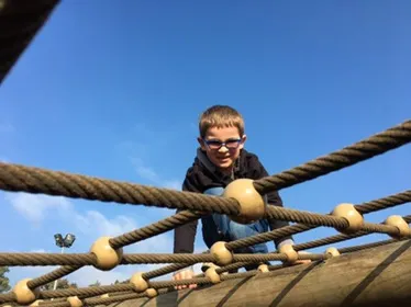 Dinosaur adventure park