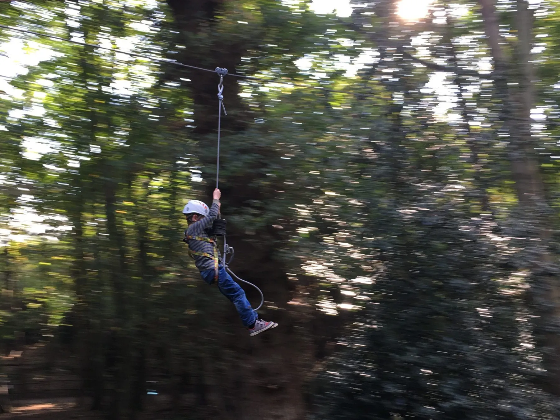 Dinosaur adventure park