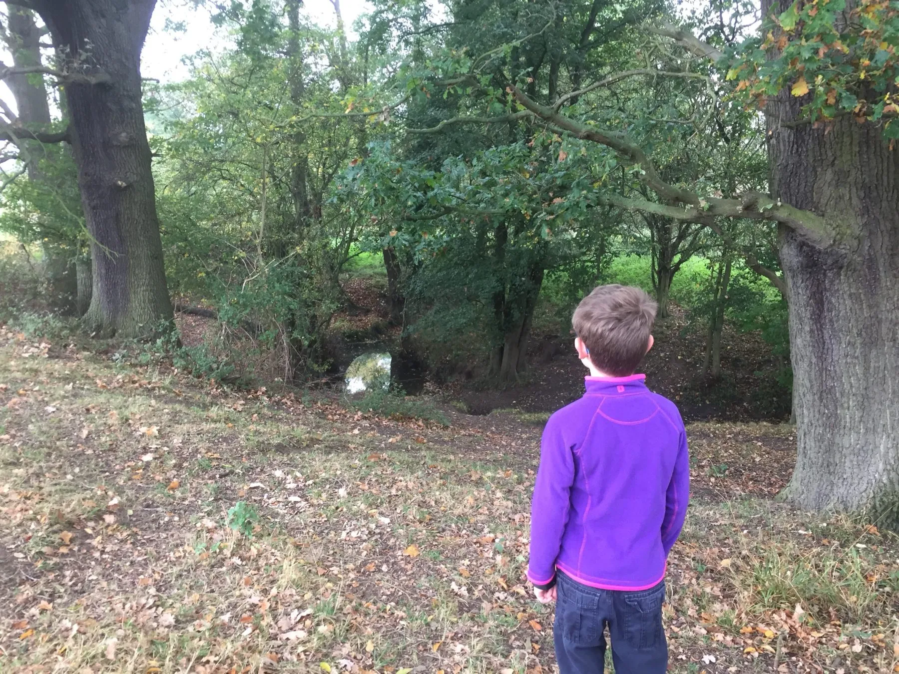 Exploration