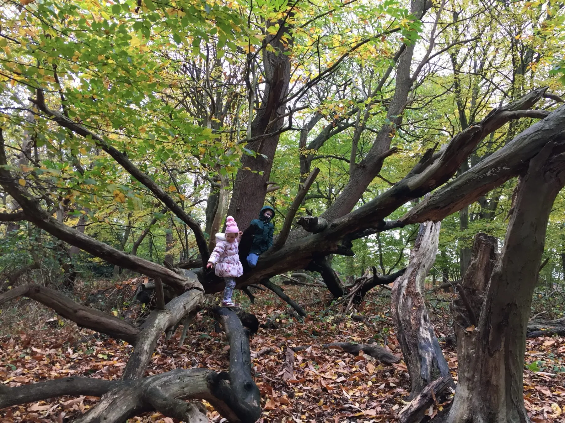 Poorly but exploring
