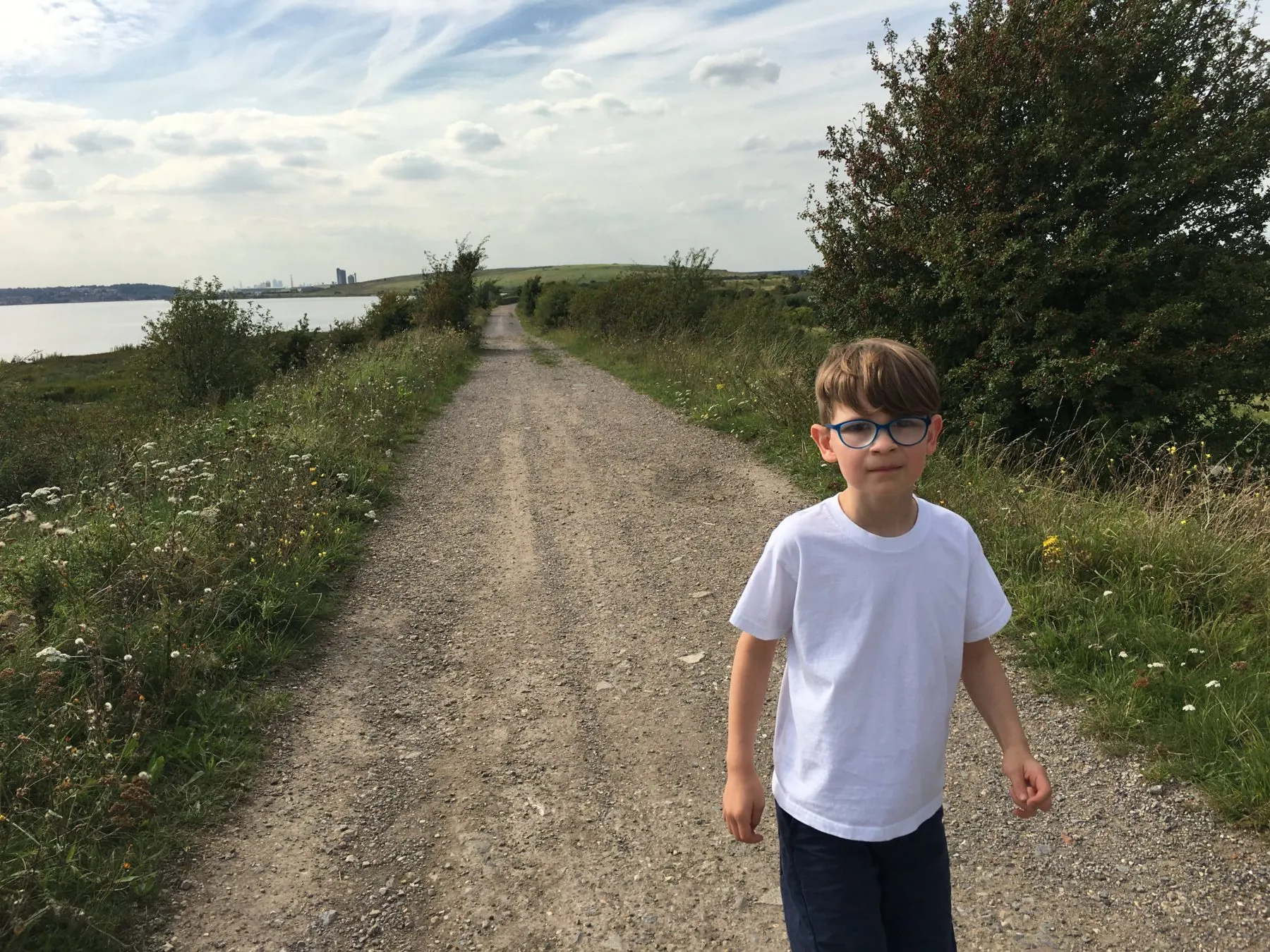 Rainham marshes