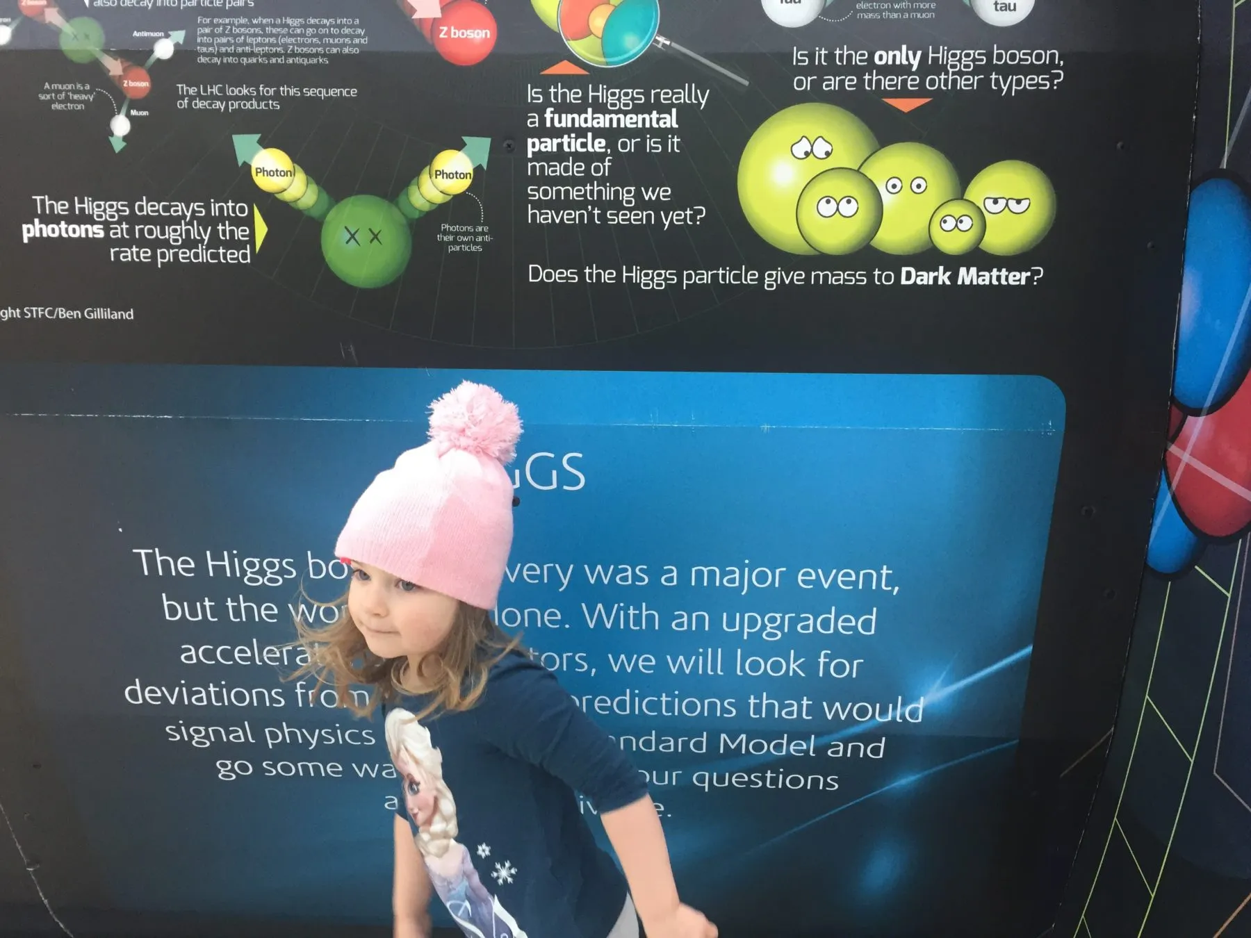 Science festival