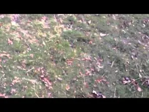 Media_httpimgyoutubec_kcedn